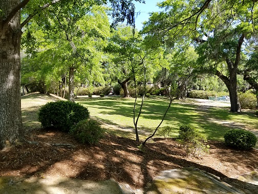 View from the open porch to the shady lawn