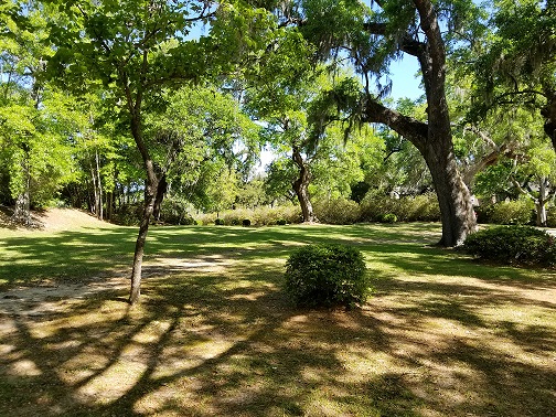  Expansive shaded lawn framed by centuries-old azaleas and moss-draped live oaks  