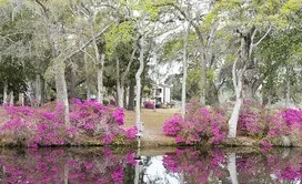 Charles Young Photography