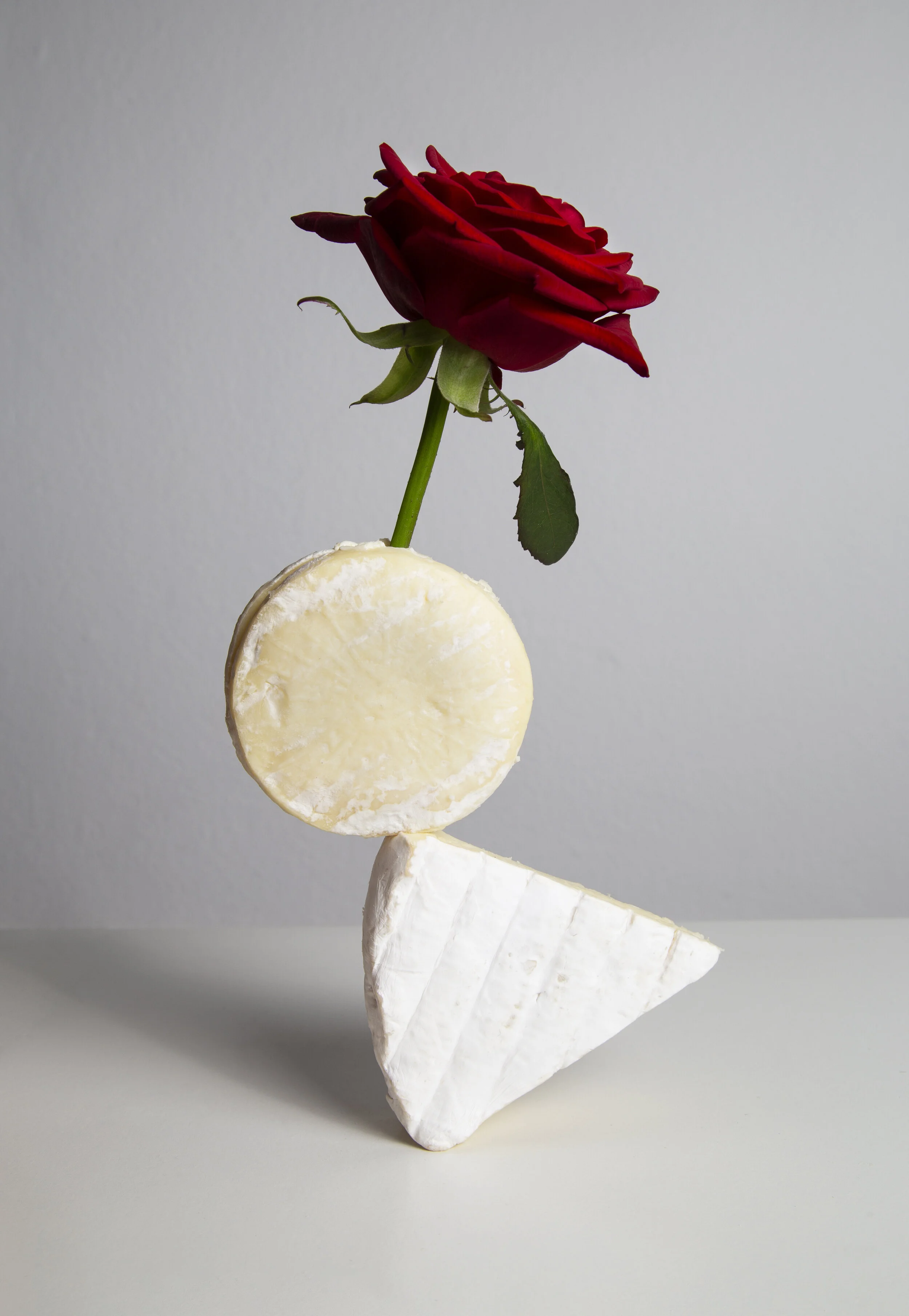 rose+brie.JPG