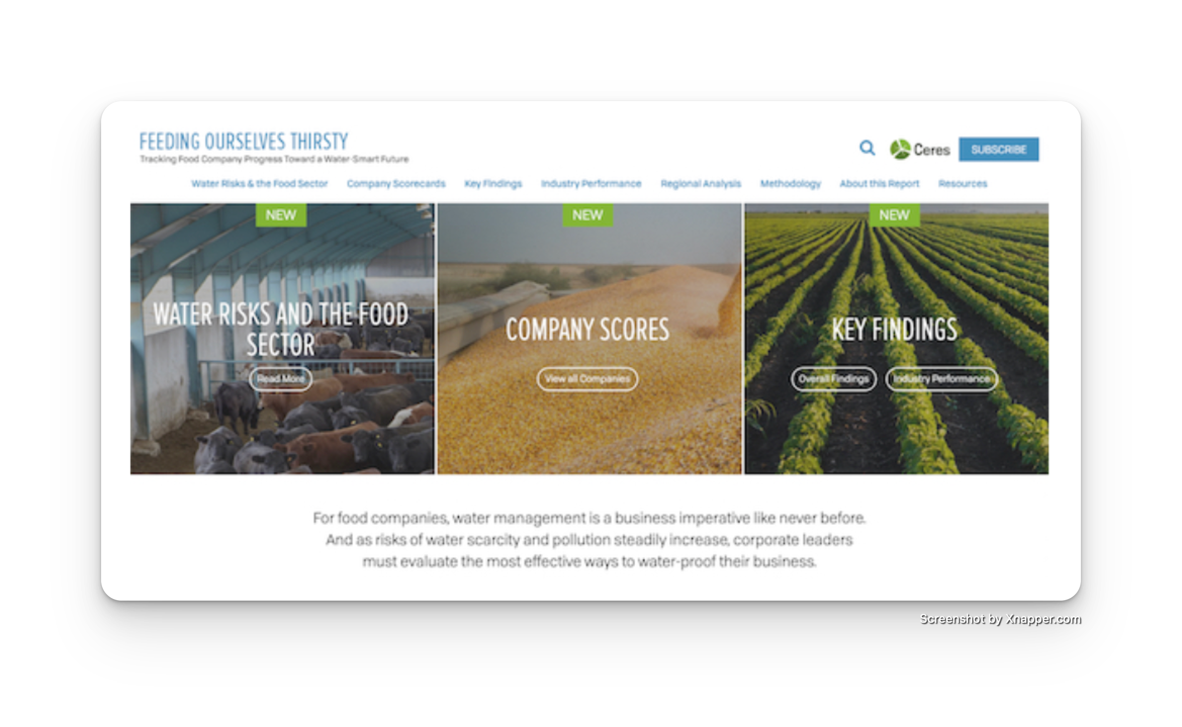 Website content and outreach strategy for 'Feeding Ourselves Thirsty,' a Ceres' platform on water risks in the food sector geared for institutional investors. 