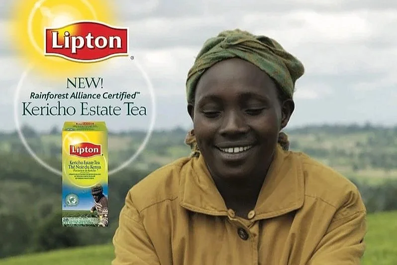 Promotional collateral for sustainable tea campaign