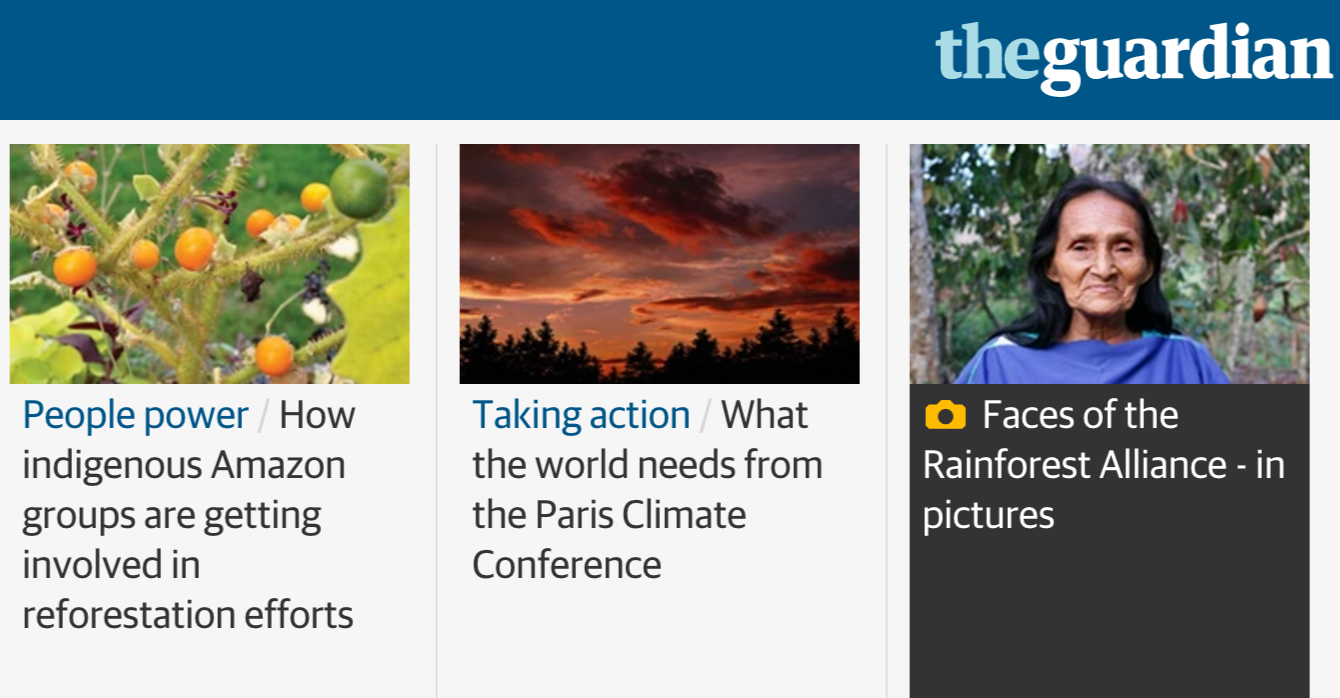 Native content campaign in partnership with The Guardian and partner companies