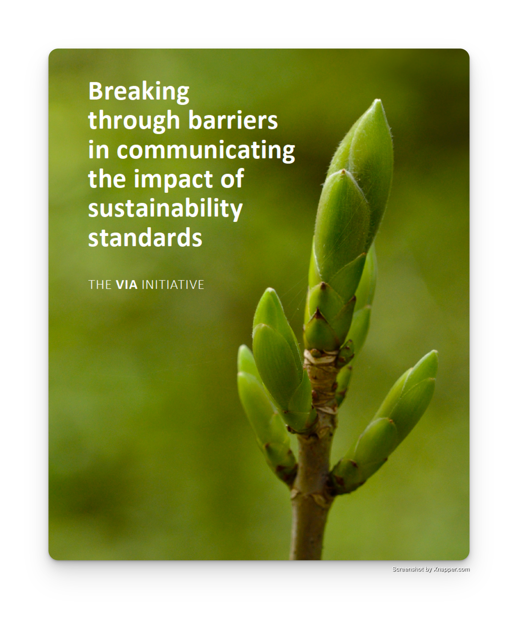 Guide for companies on FSC messaging