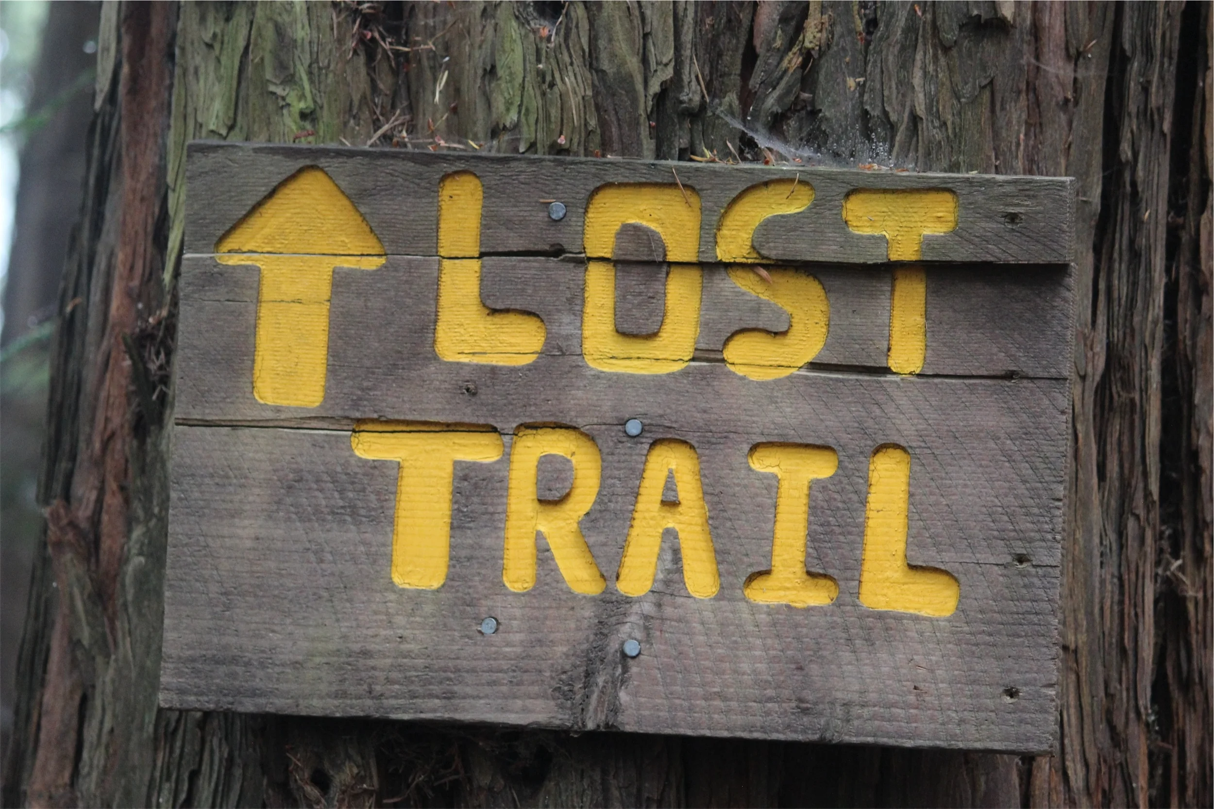 LostTrail.jpg