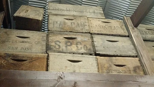 ベイエリアの歴史(36) - 「ジューイッシュ戦略」も封じられた日系人