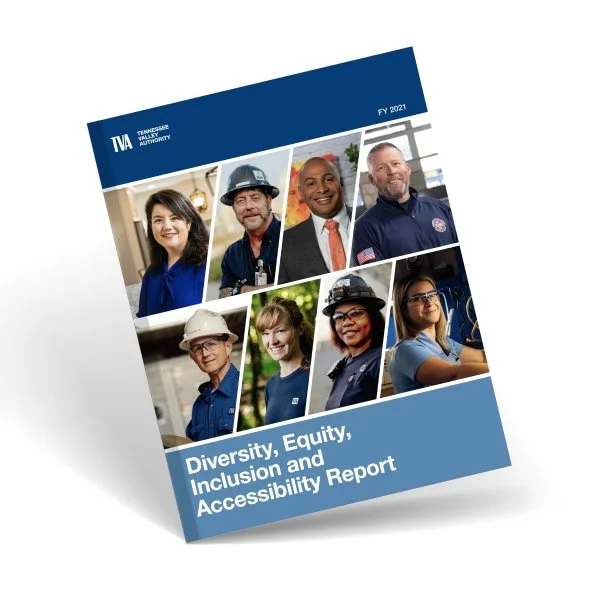 Diversity Equity Inclusion Accessibility Report