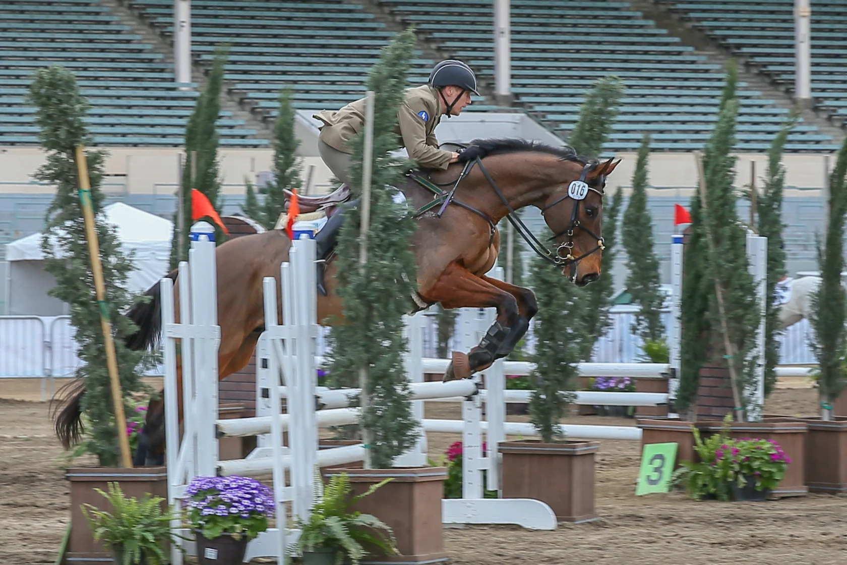 Horses of the Los Angeles Pentathlon: February 2017
