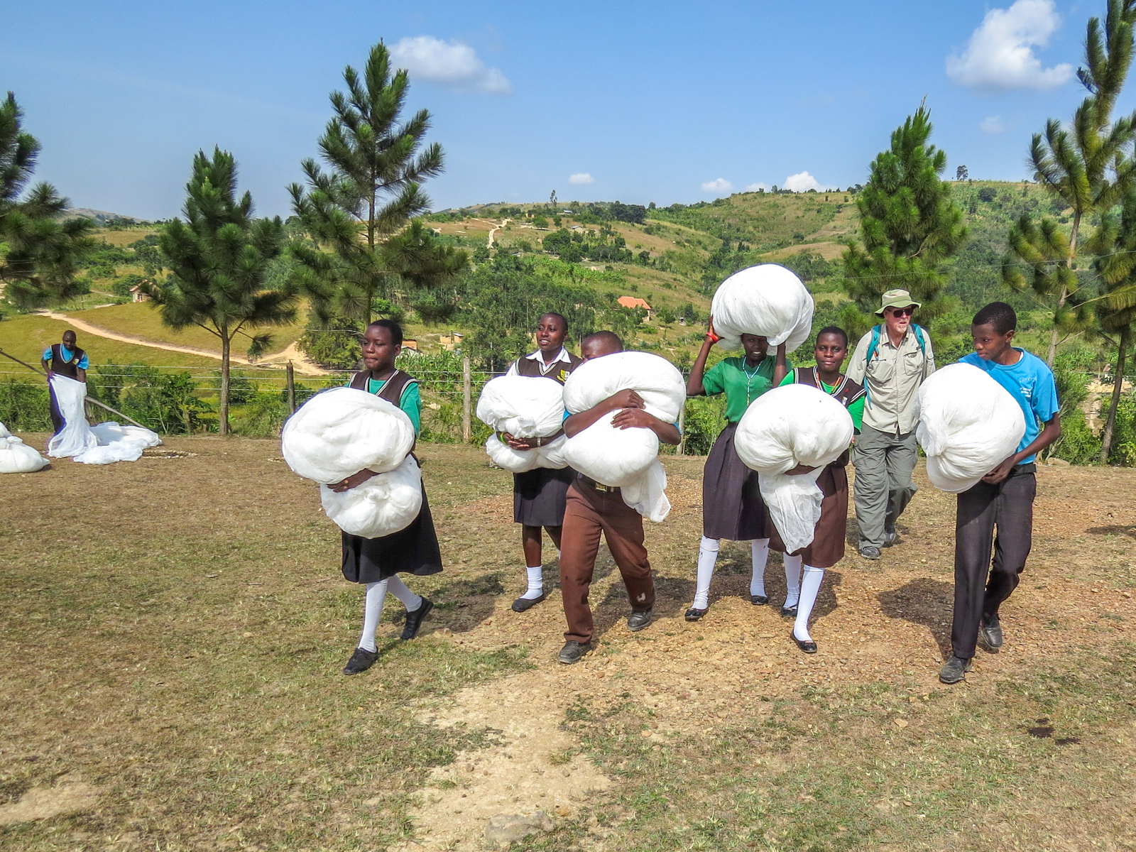 Mosquito Nets and Malaria