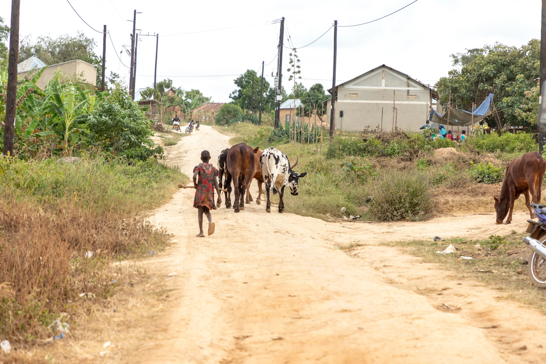 K4-Kabingo-0138.jpg
