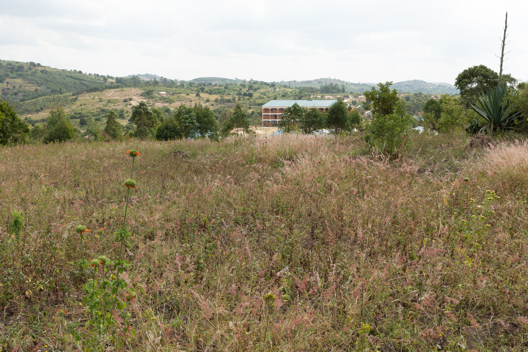 K4-Kabingo-0266.jpg