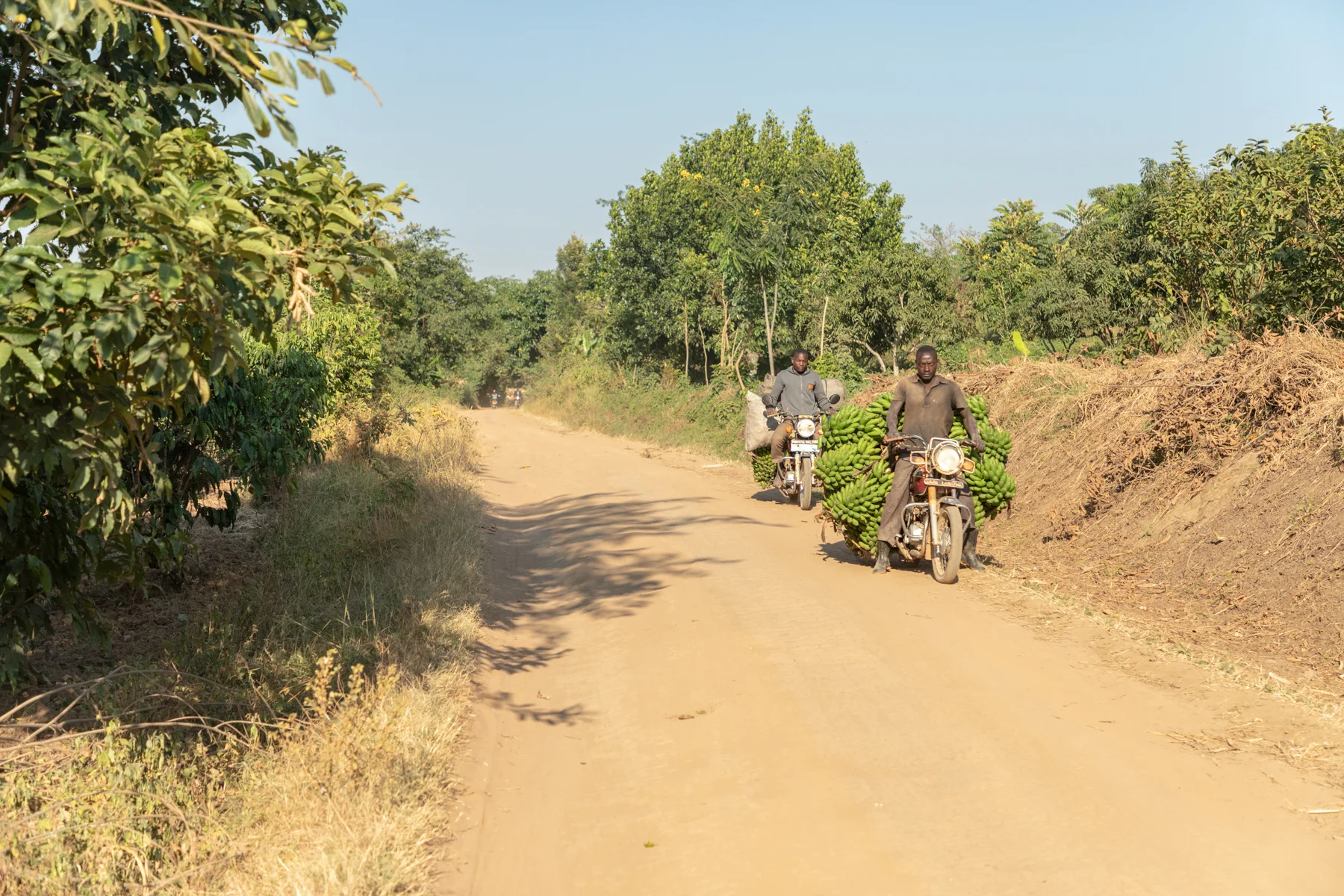 K6-Kabingo-0293.jpg
