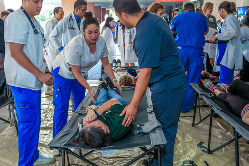 Multi-Casualty Incident Drill 