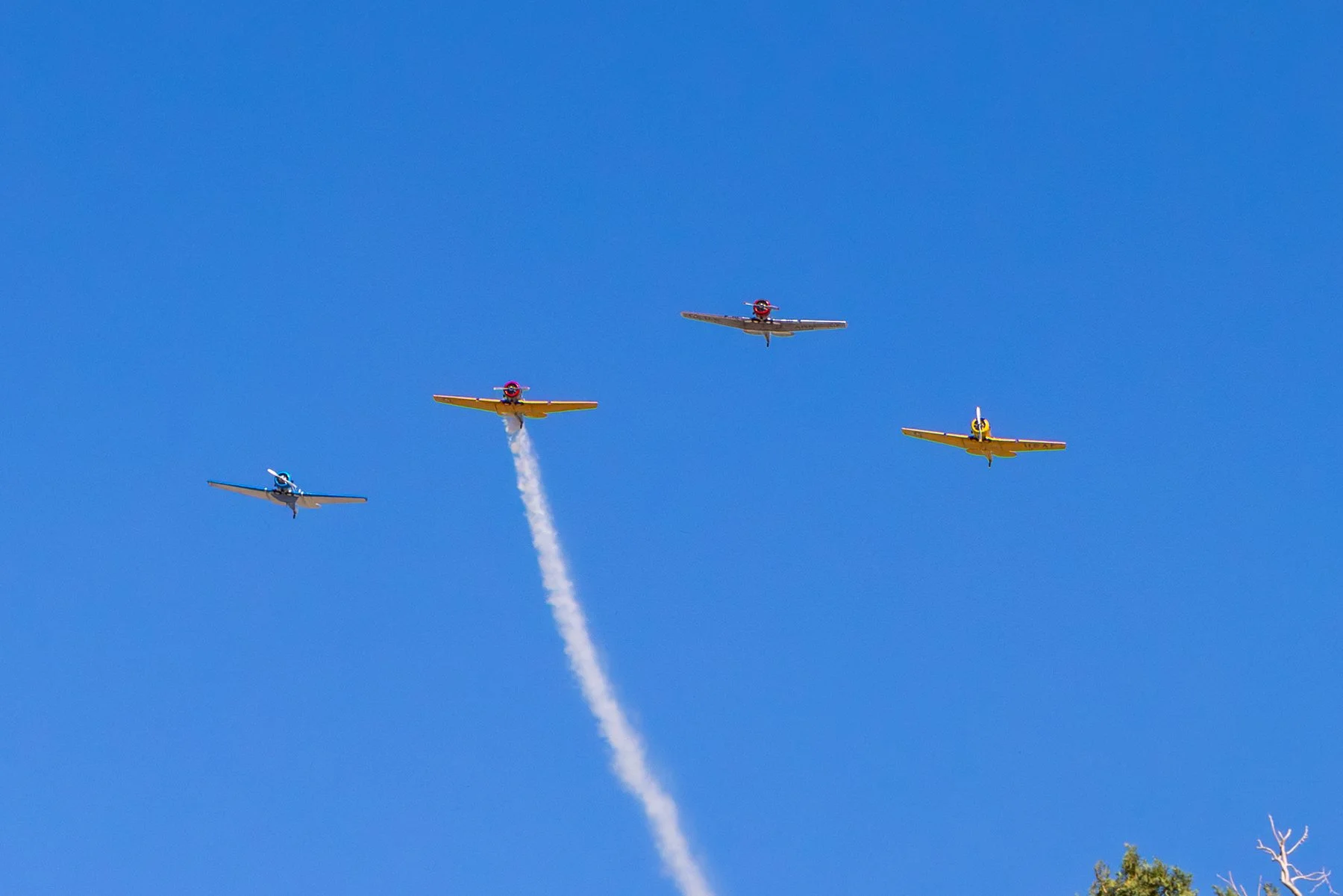 6x4 GY3A6153 101325.jpg