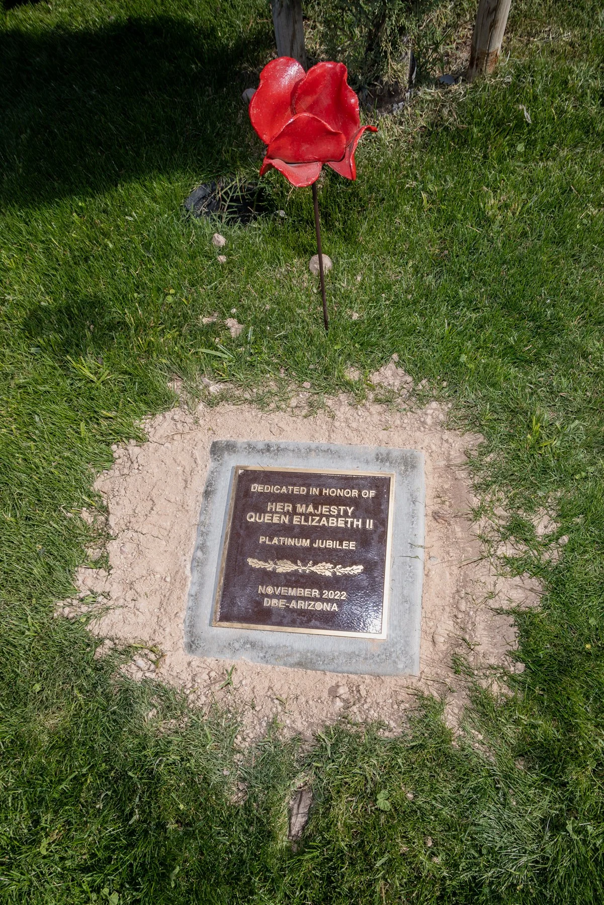 6x4 GY3A6428 101325.jpg