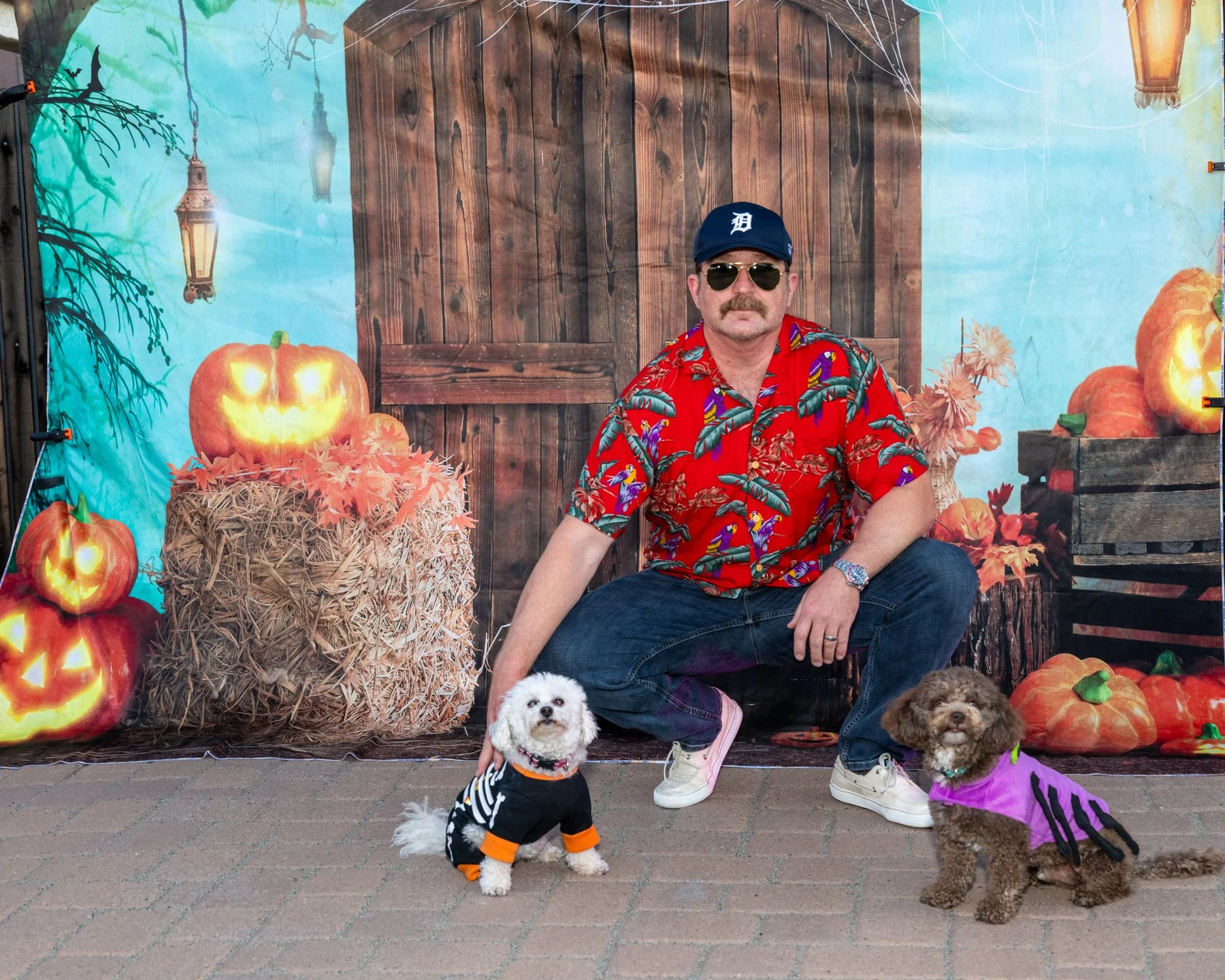 6x4 IMG_5674 101325.jpg