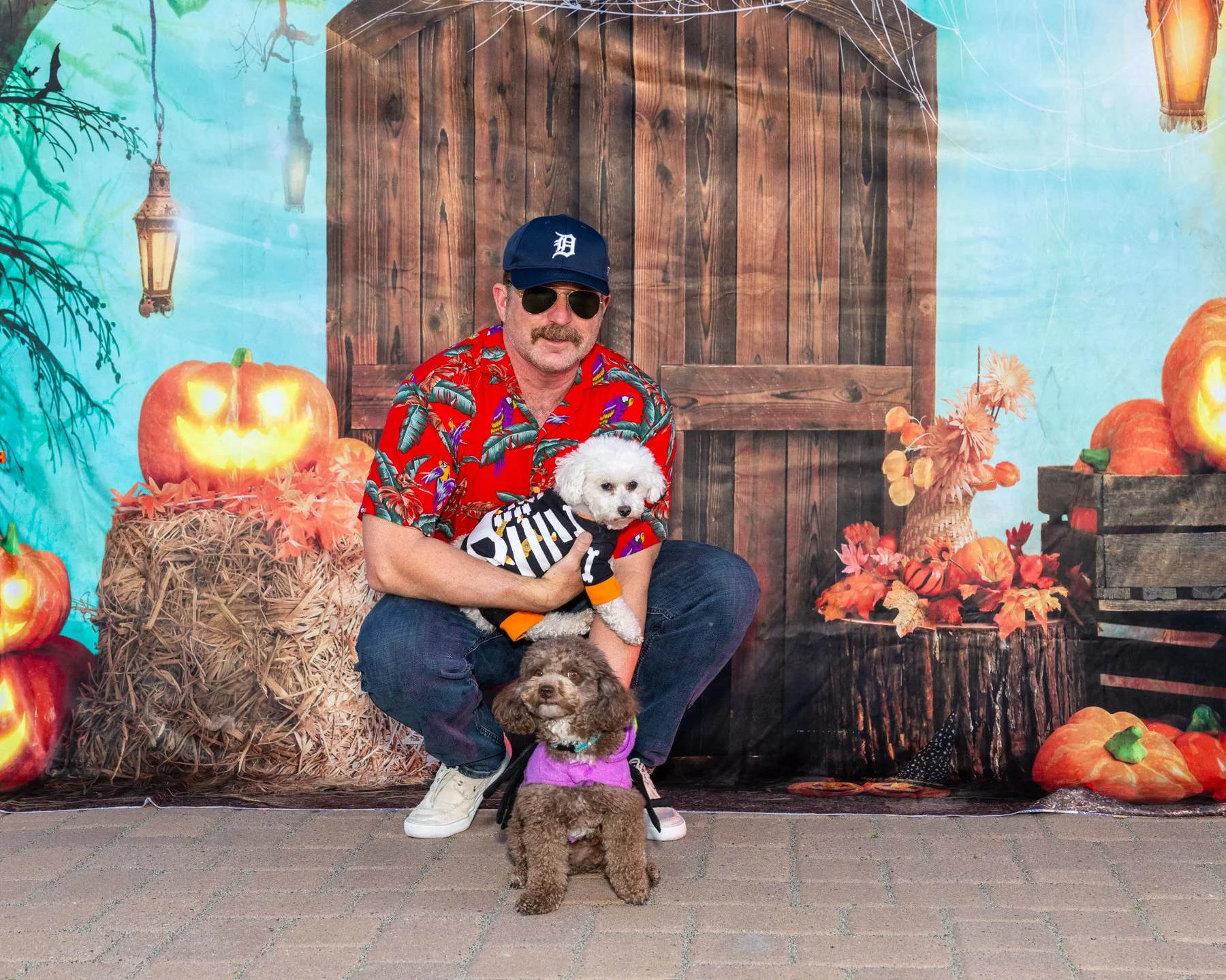 6x4 IMG_5677 101325.jpg