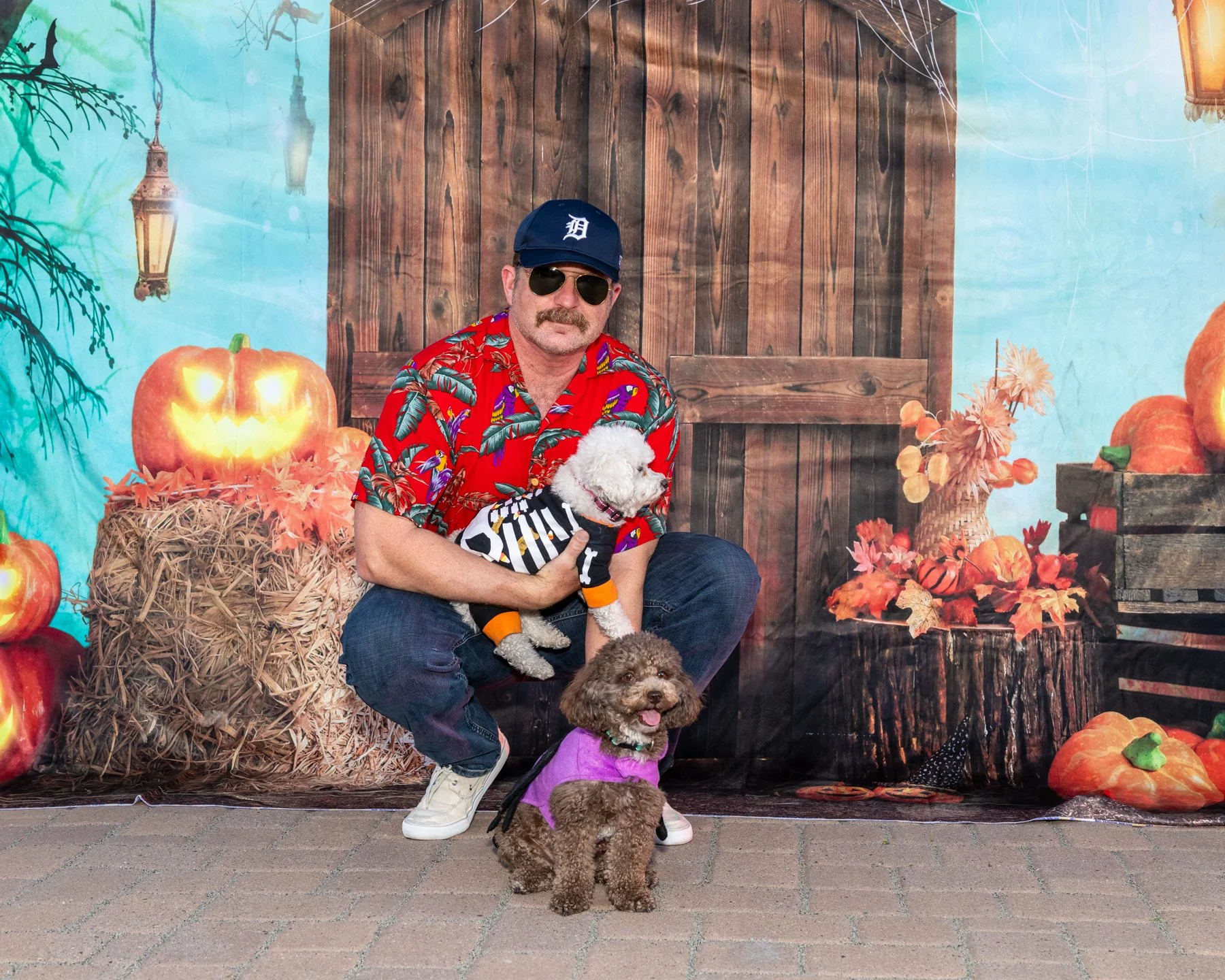 6x4 IMG_5678 101325.jpg