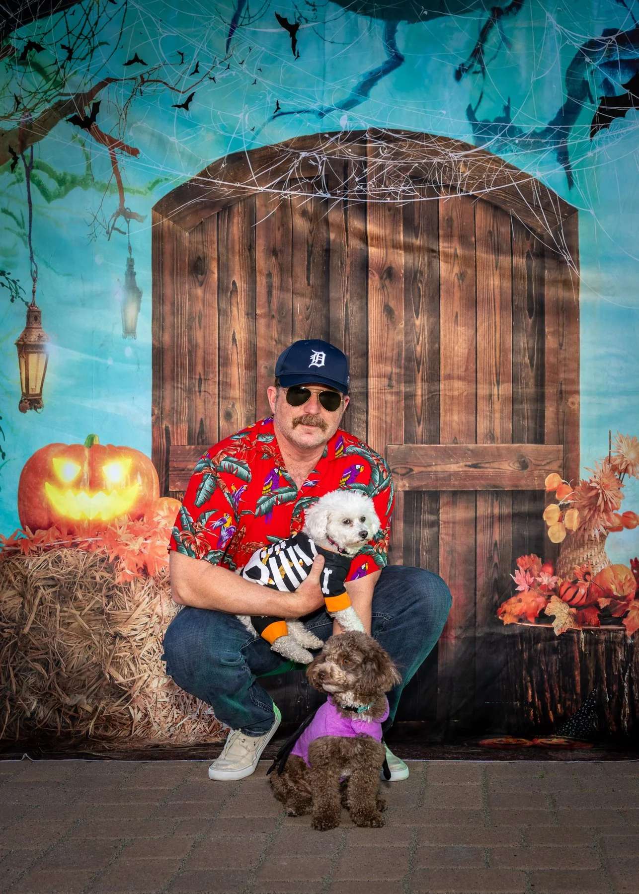 6x4 IMG_5679 101325-2.jpg