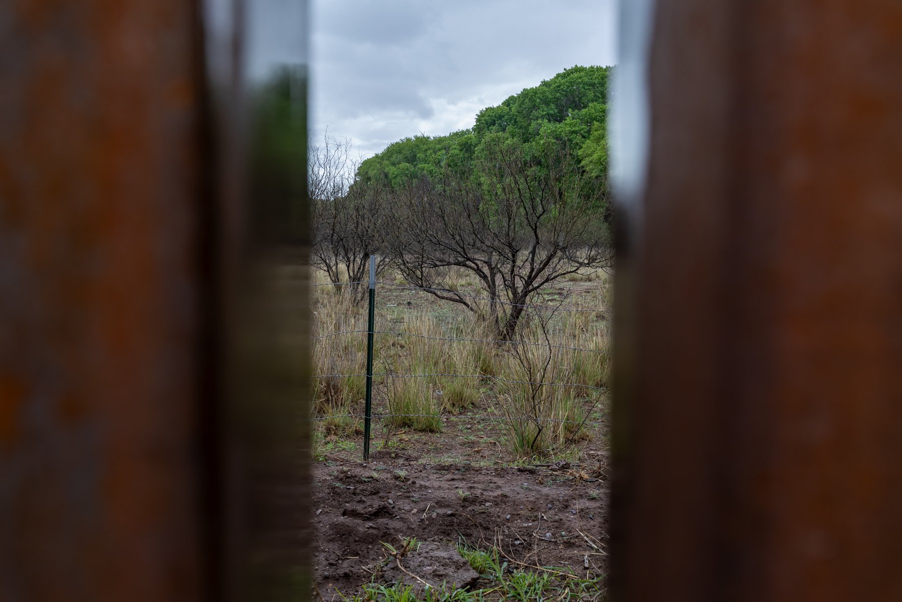 6x4 Border-SABRE IMG-7077-23.jpg