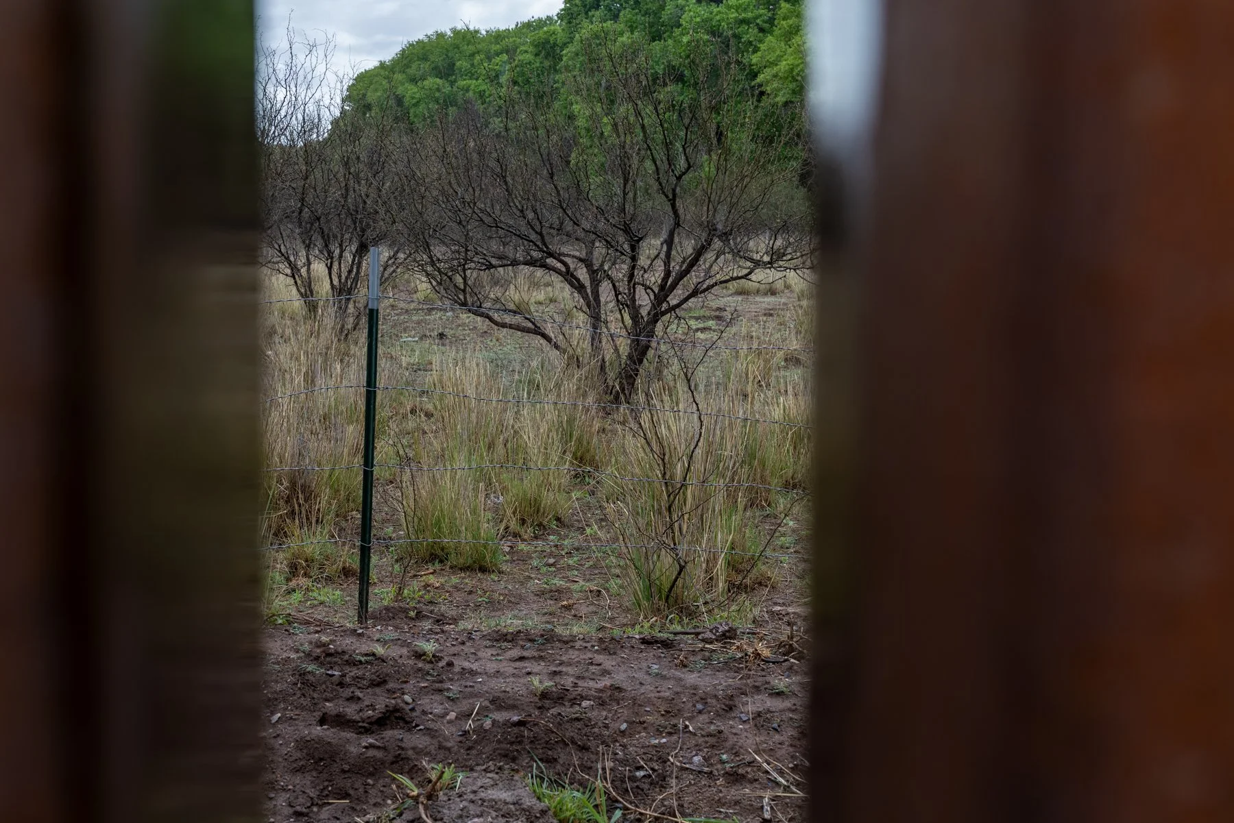 6x4 Border-SABRE IMG-7077-24.jpg