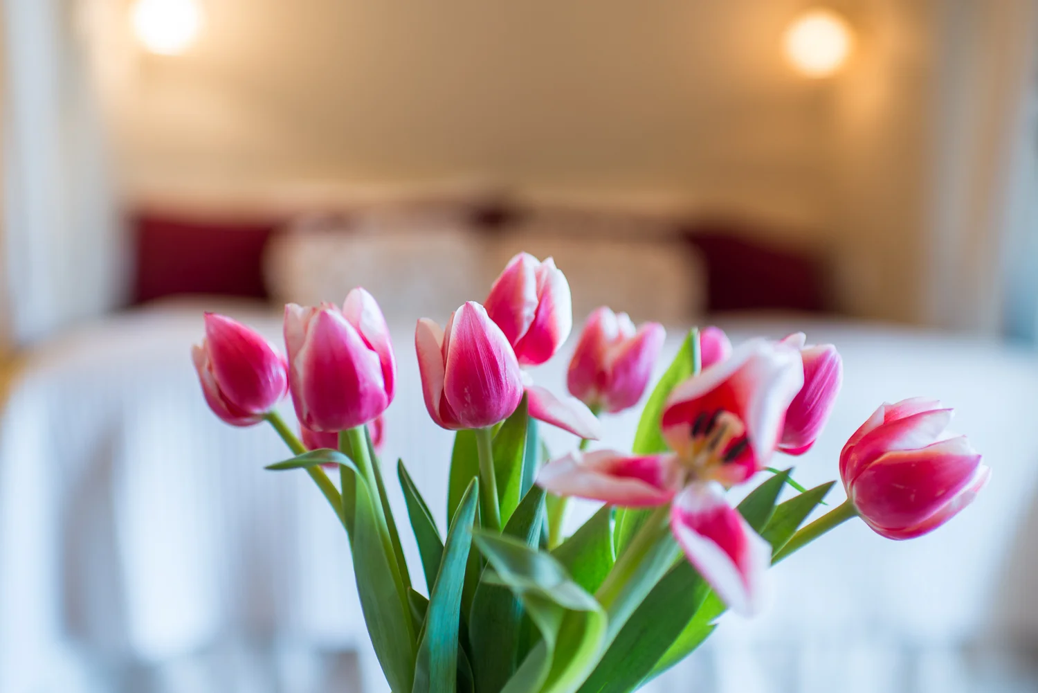 close up of flowers in front of a bed