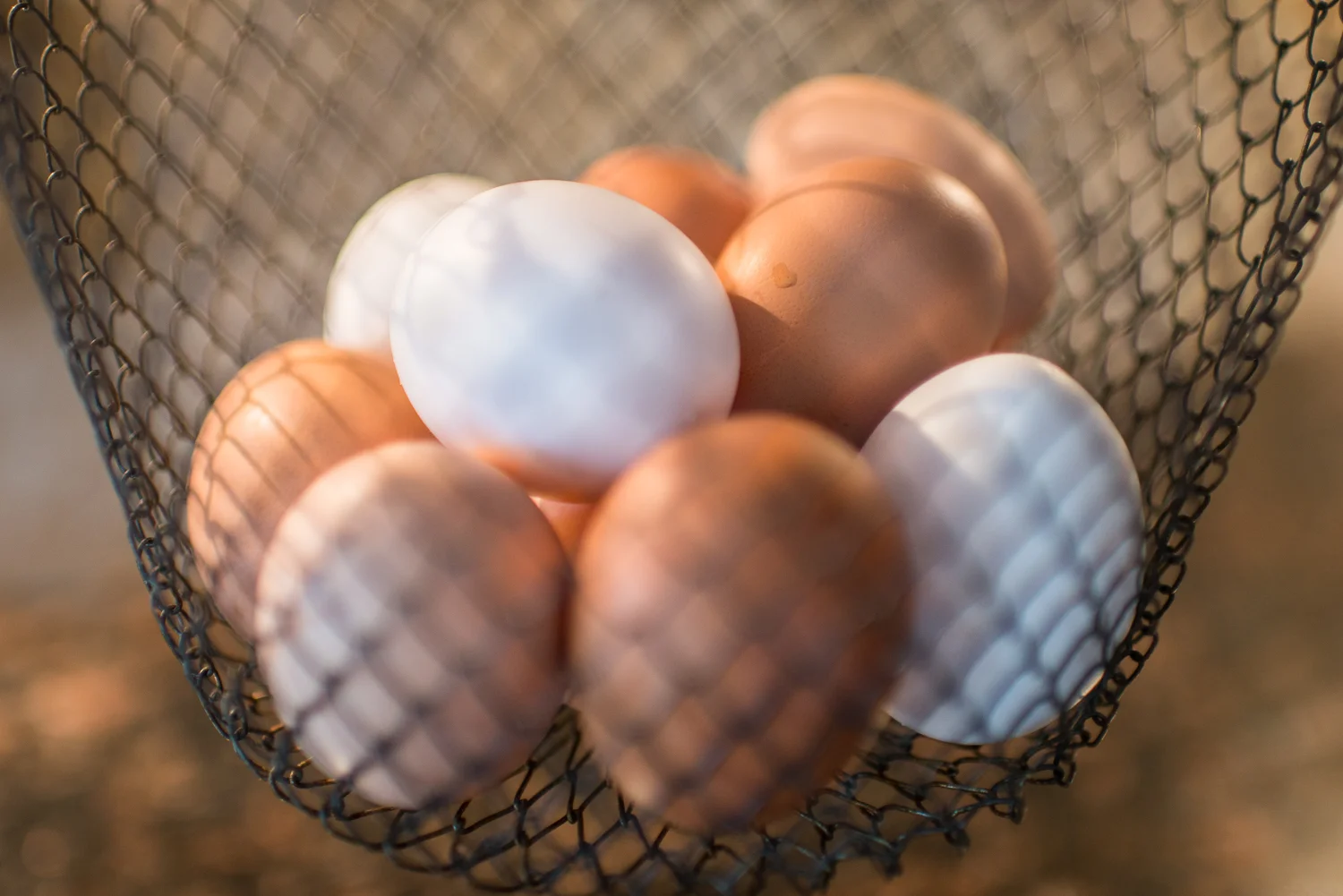 eggs in a basket