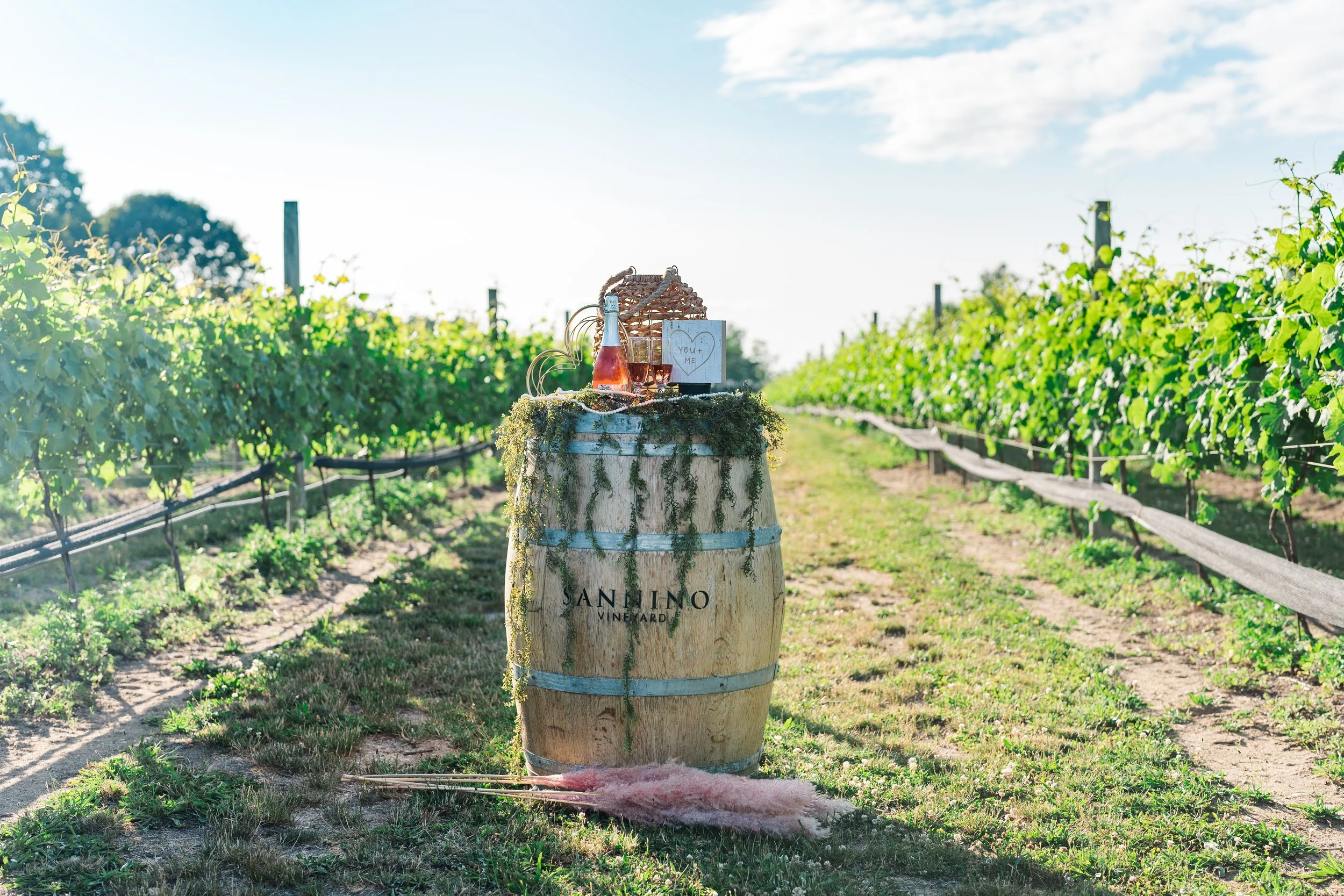 Romantic Engagements — Sannino Vineyard, New York Cutchogue North Fork
