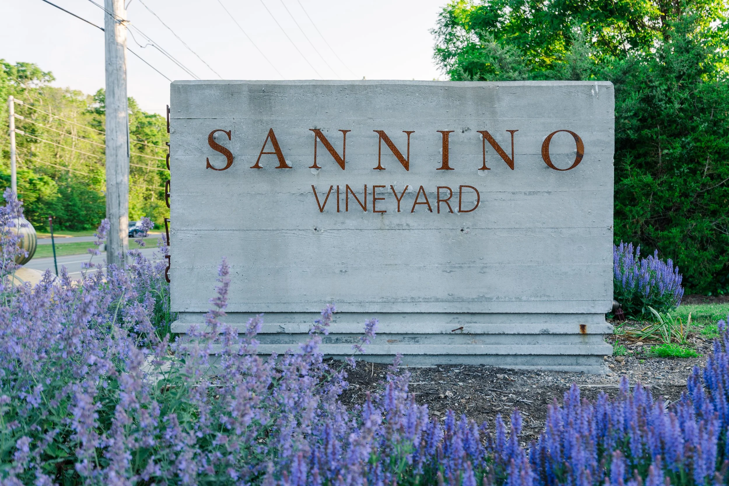 sannino-109.jpg