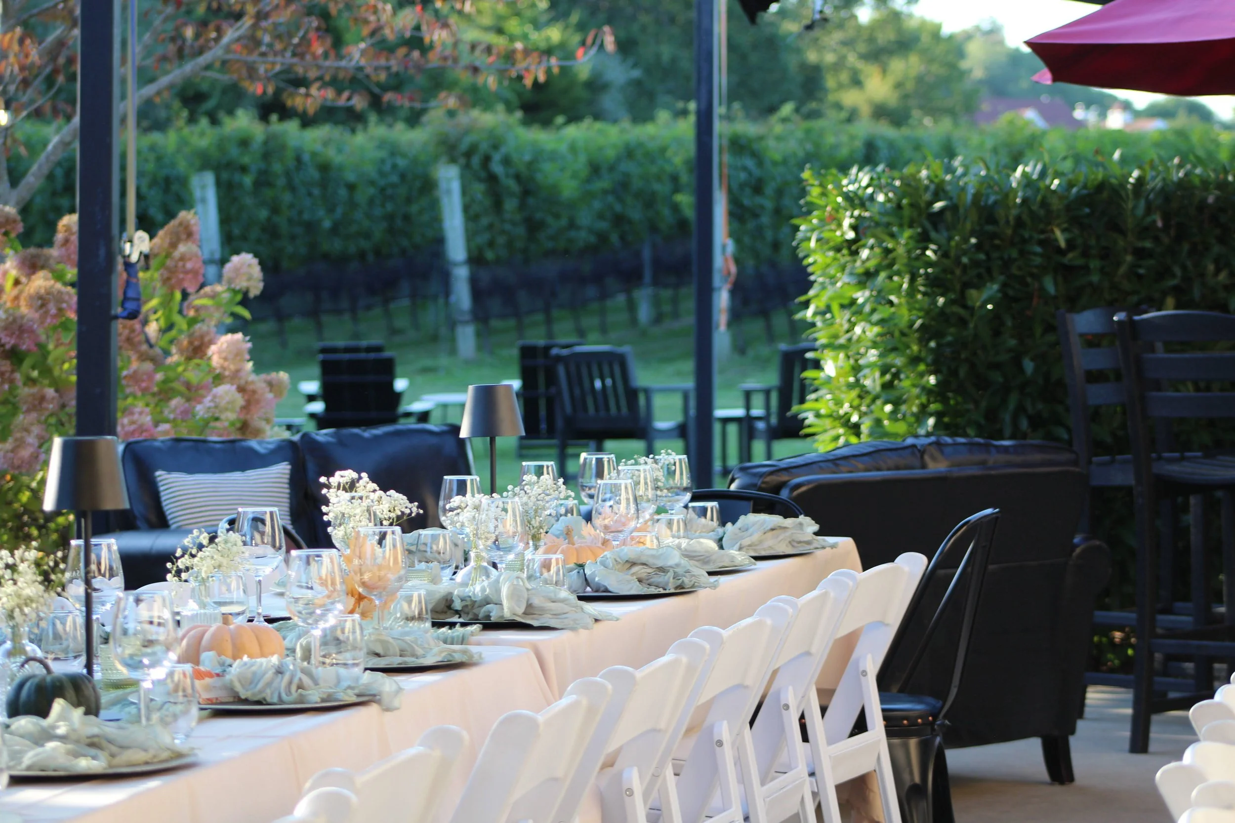 IMG_5861.CR2 (1).jpg