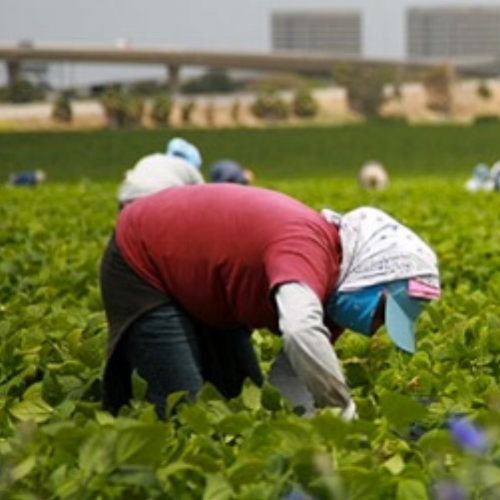 50EIGHT specialises in addressing working conditions and slavery in supply chains, having authored the topic's leading research paper. If you want to confront this problem with an advisor that reinvests their profits in tackling the root problem: Bolt On 50Eight .