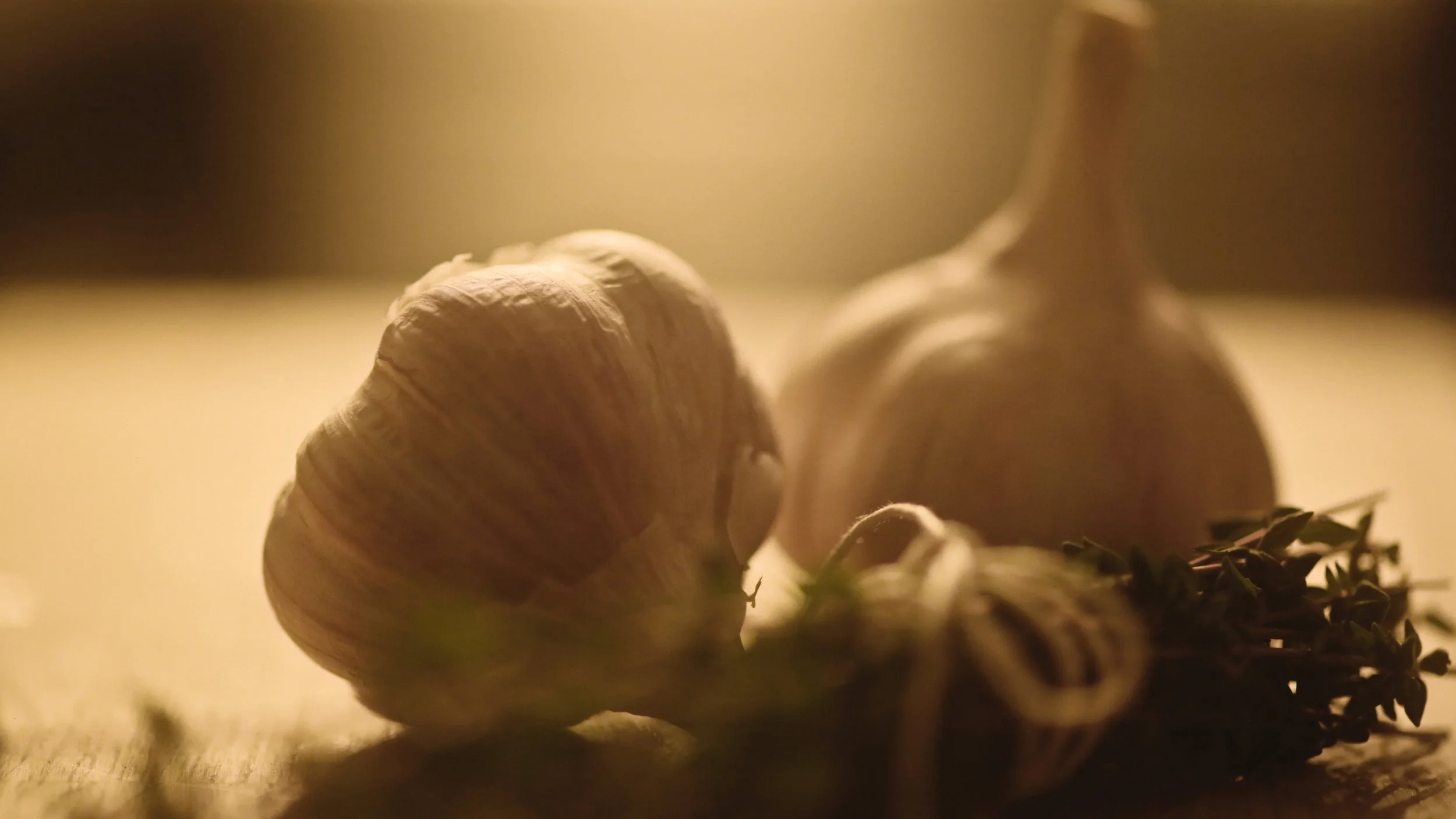 20121114-Duck_1G7A7076.jpg