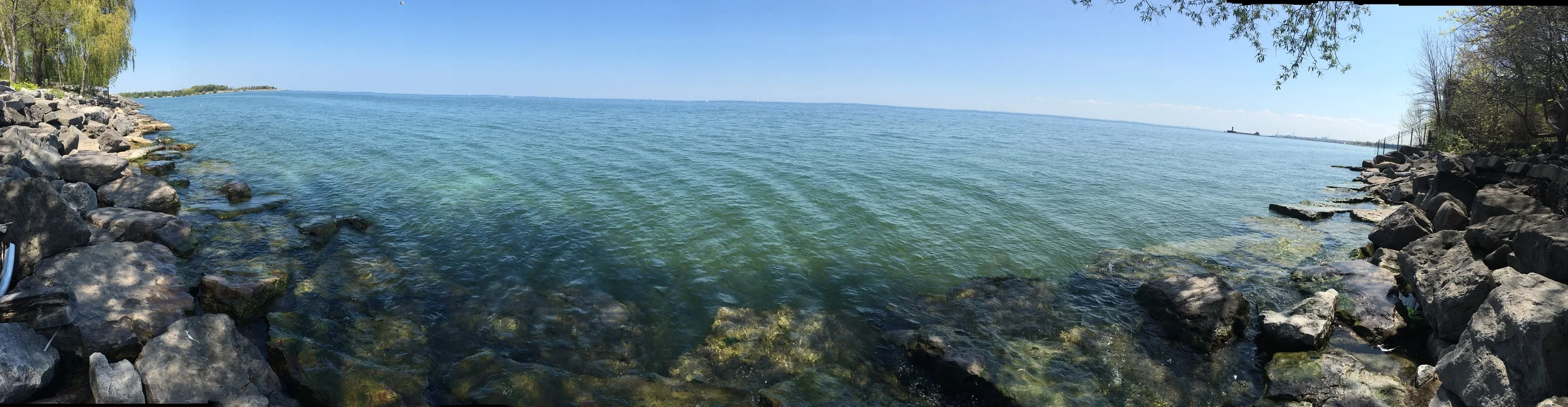 This, my friends, is Lake Ontario. Many mornings, my mom and I would grab maple lattes (how original, I know) and walk around the Lake, reminiscing about old memories in Canada. 