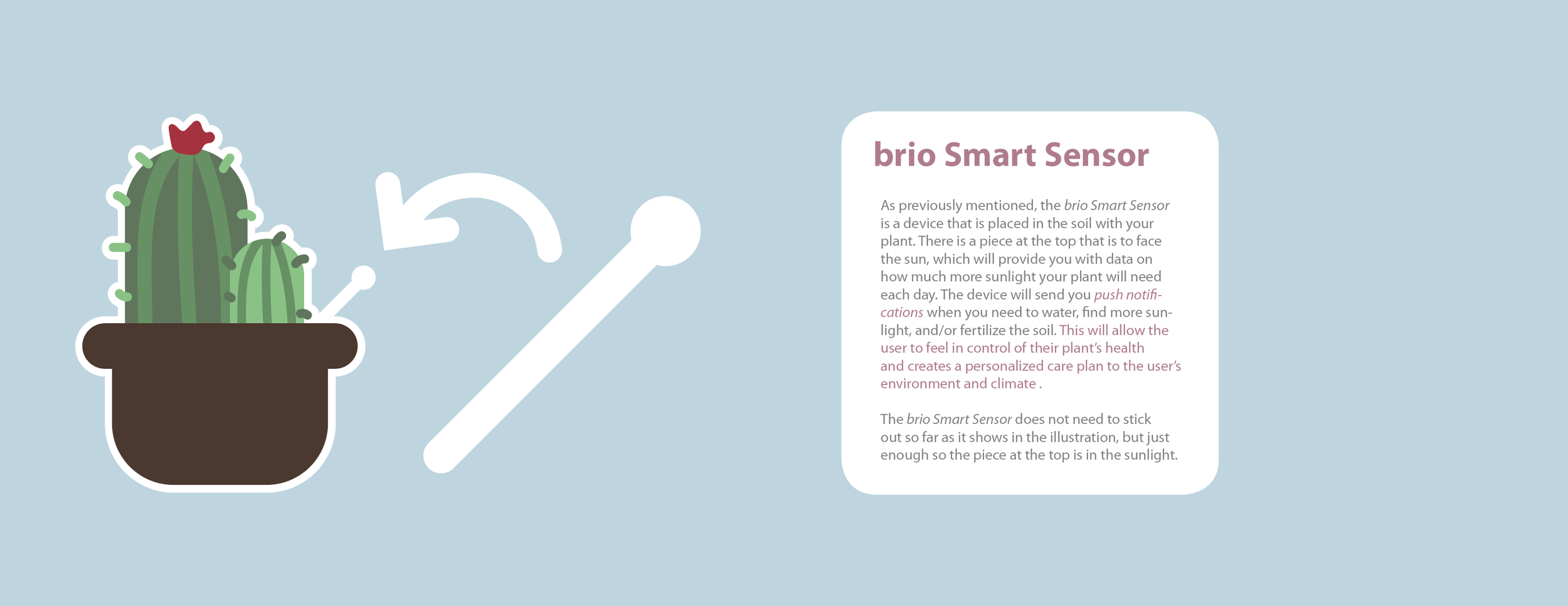 web_MegTremblay_Brio_FinalDocument21.png
