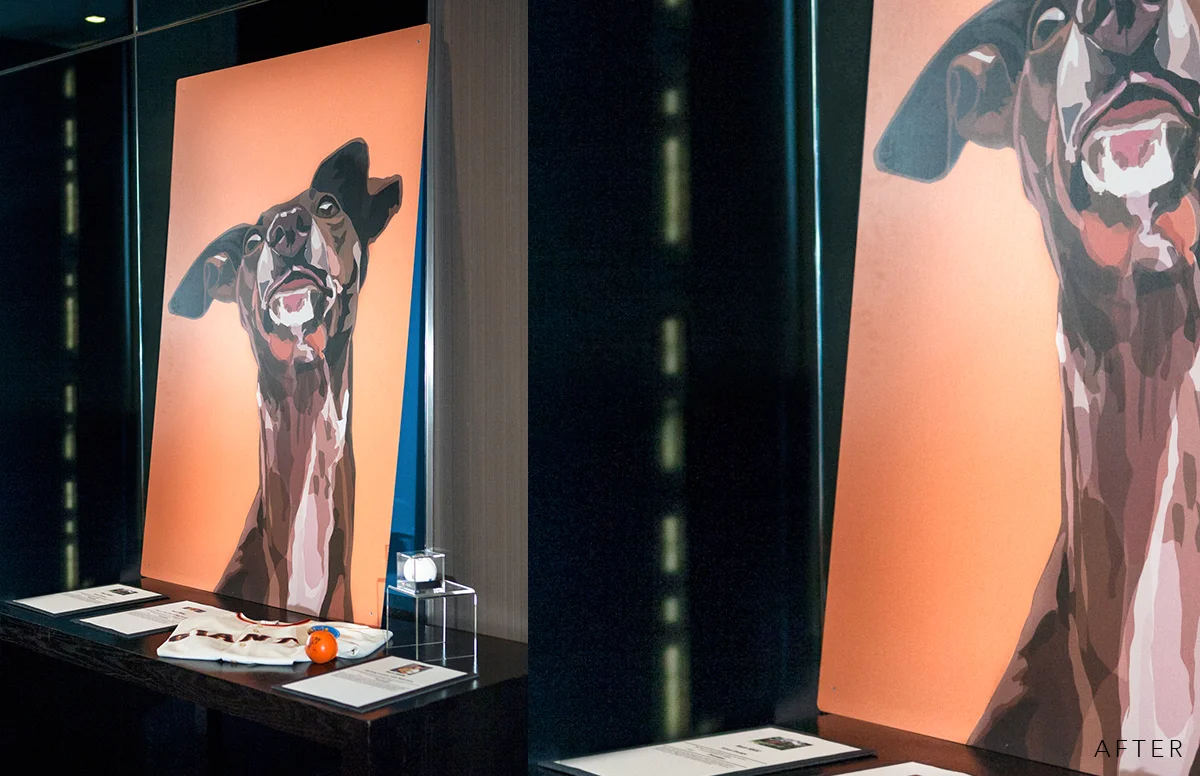 Nikki-Novi-Giants-Dog-Painting-Product-Photo_01_Before.jpg