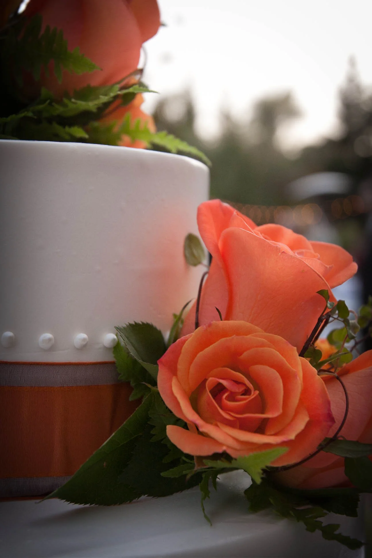 TsaiEtchemendyWedding