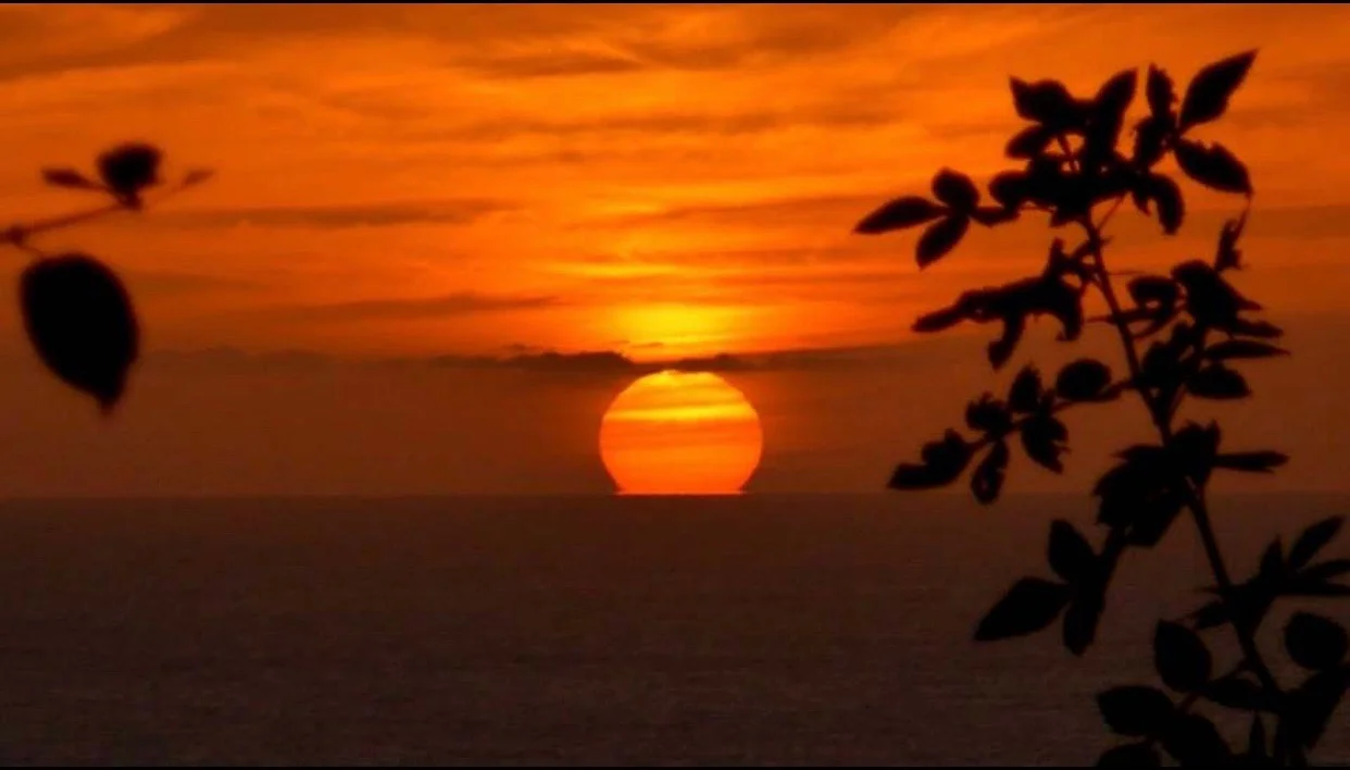 Yoga Retreat in Mexico