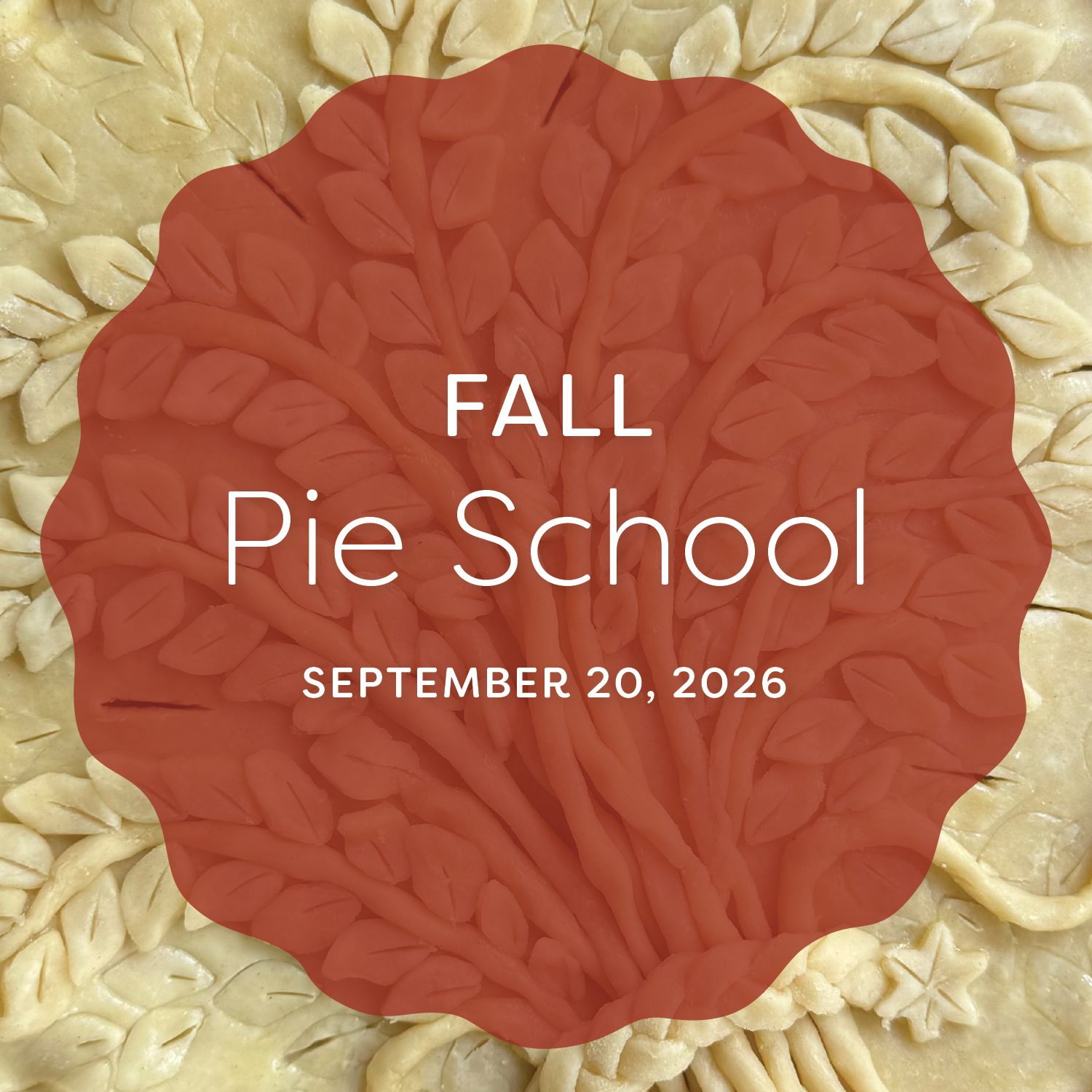PIE SCHOOL_WEB_ART_July_2026.png
