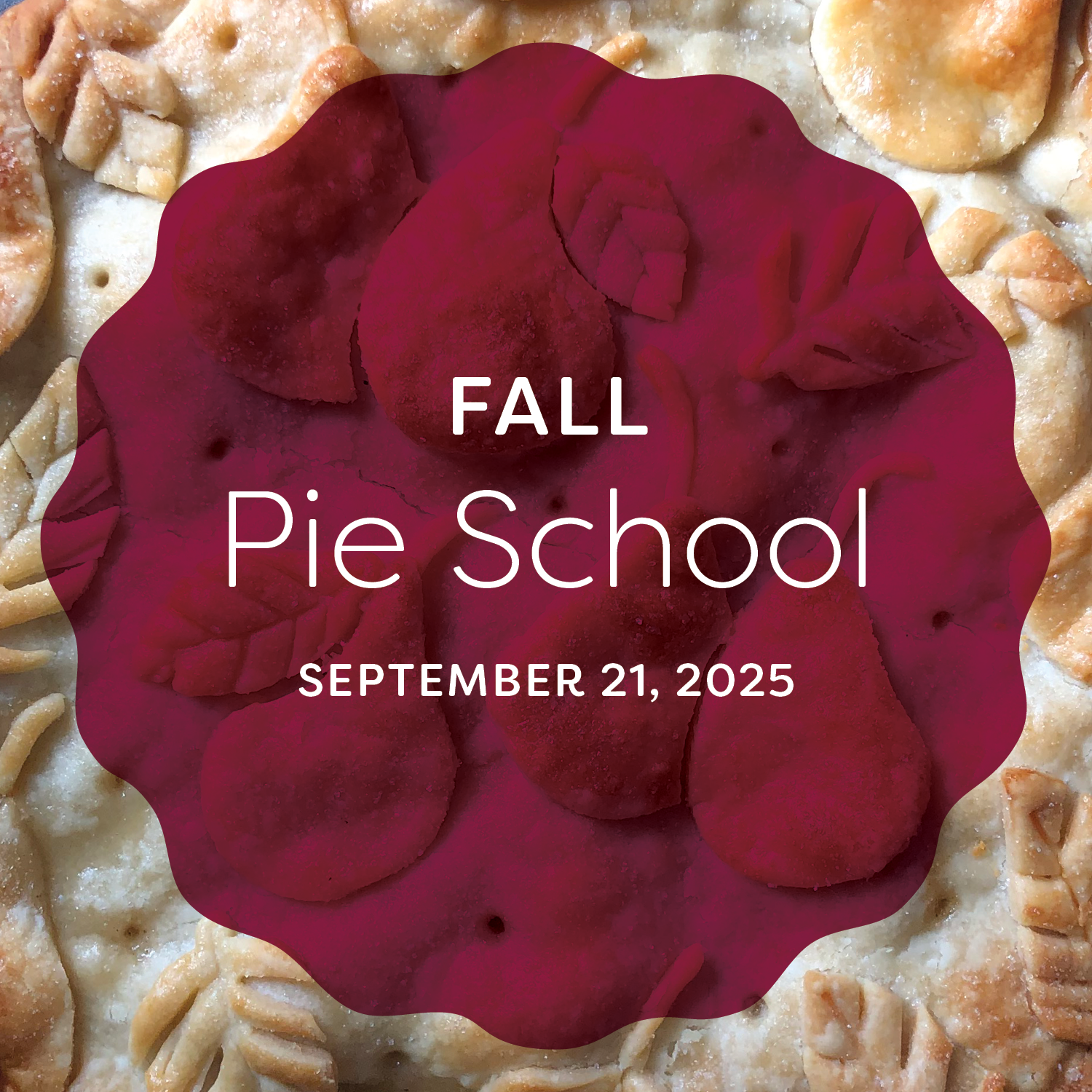 PieSchool_Web_Art_20256.png
