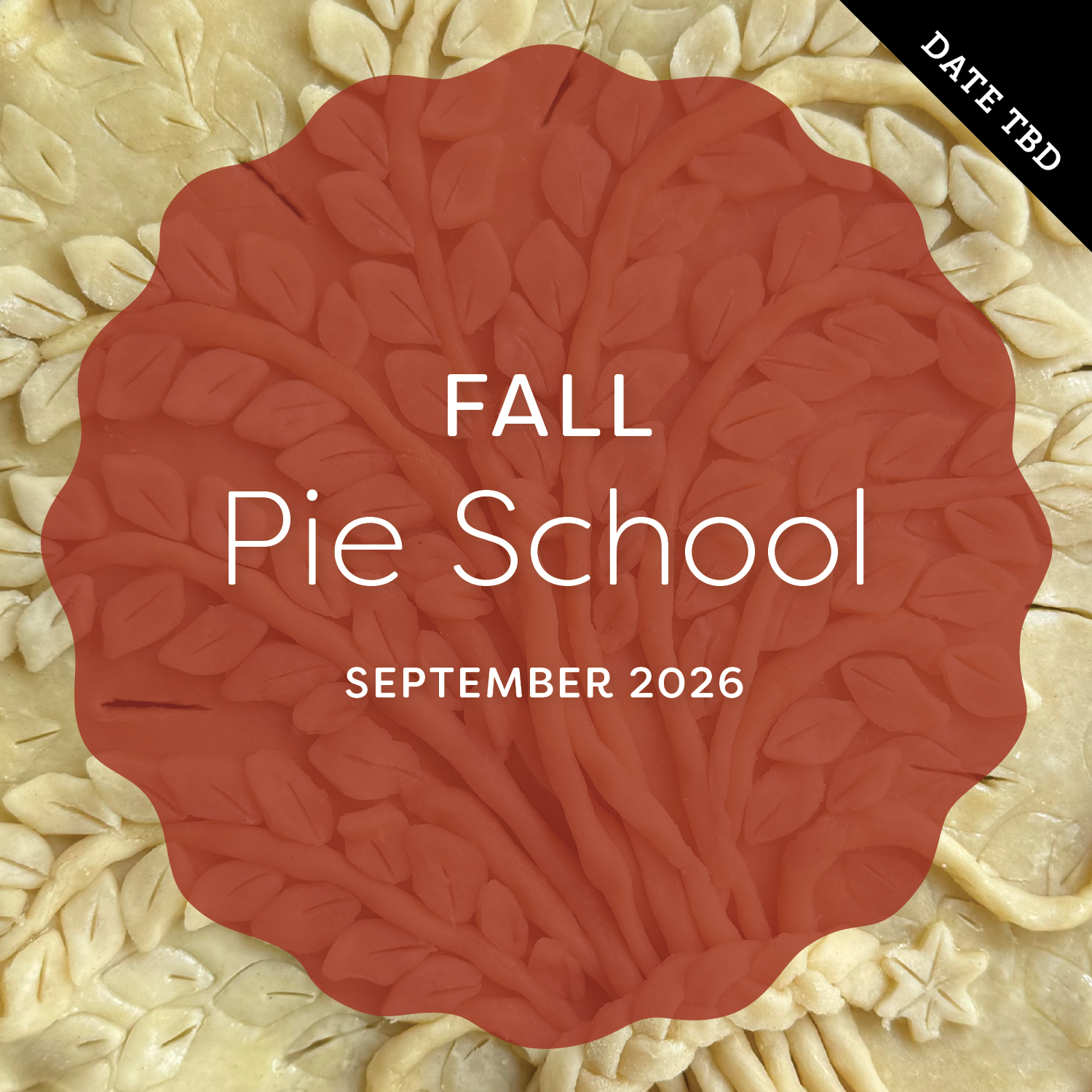 PIE SCHOOL_WEB_ART_FALL_2026.png
