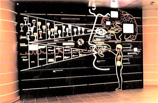 Wine in the HeadLNA.Portfolio.2004_compressed.jpg