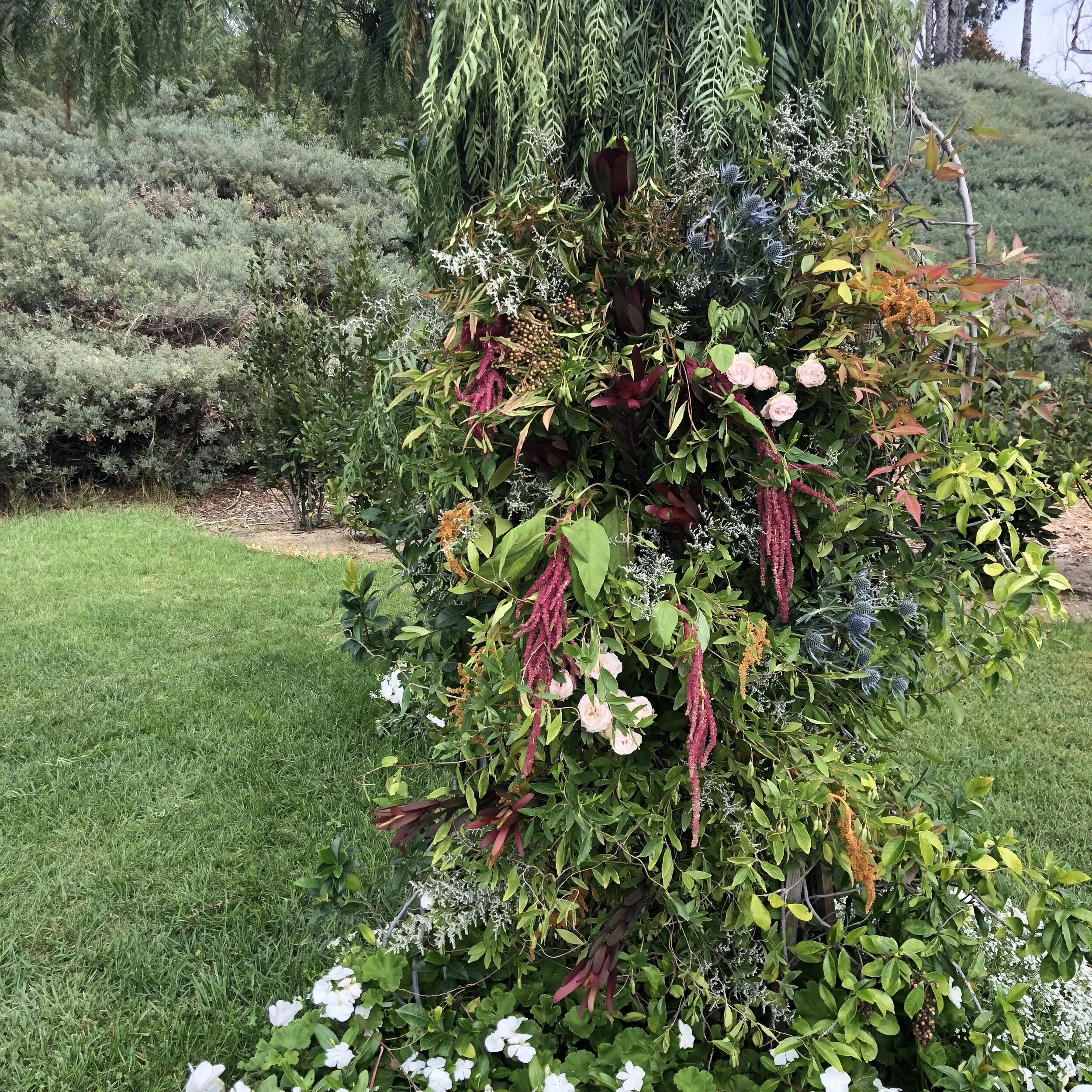 Ethereal Arbor .jpeg