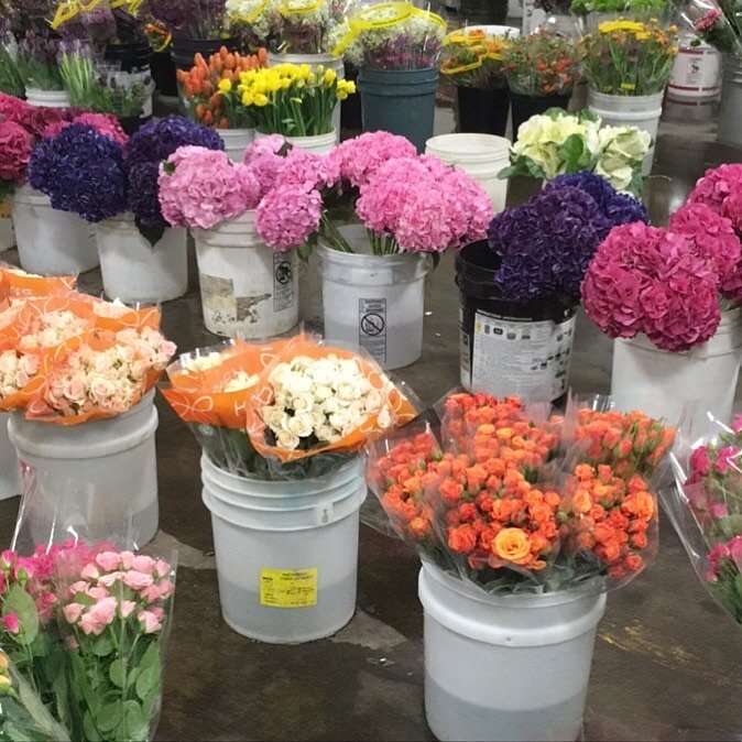 Market Monday&hellip;rows of sweetness. Hope you have a beautiful week!🏹💐🖤