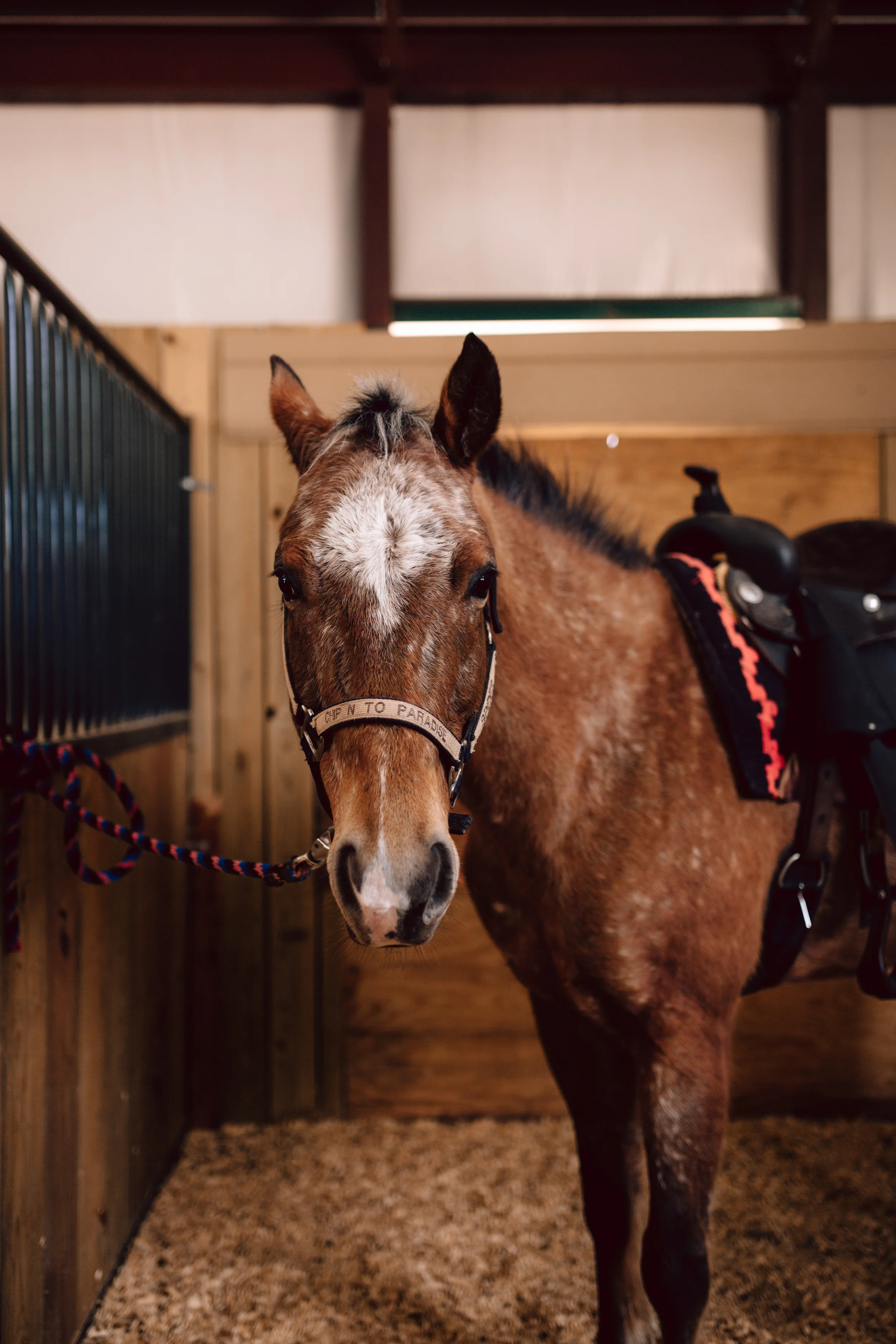 Mother's Day Delight