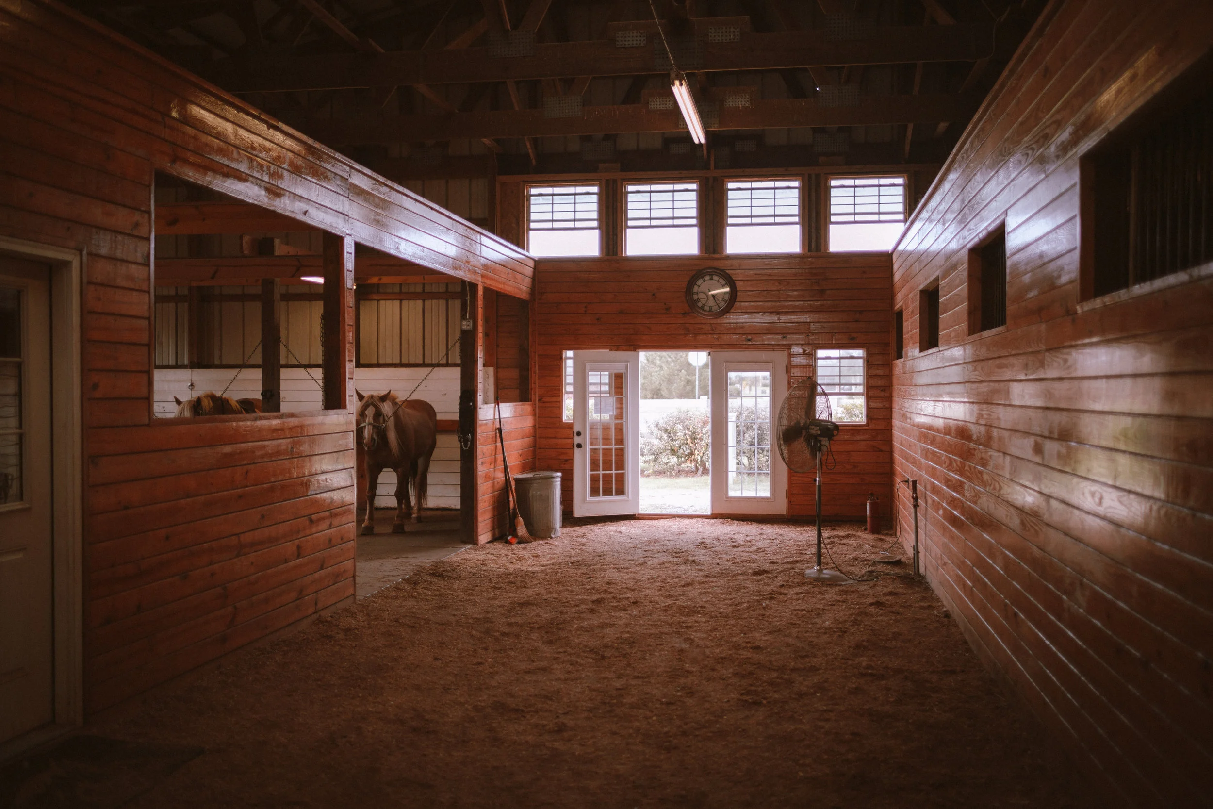 BACK-TO- SCHOOL SADDLES