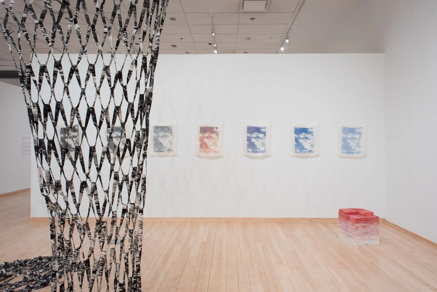   blush  (installation view)  photo credit:  Neighboring States  