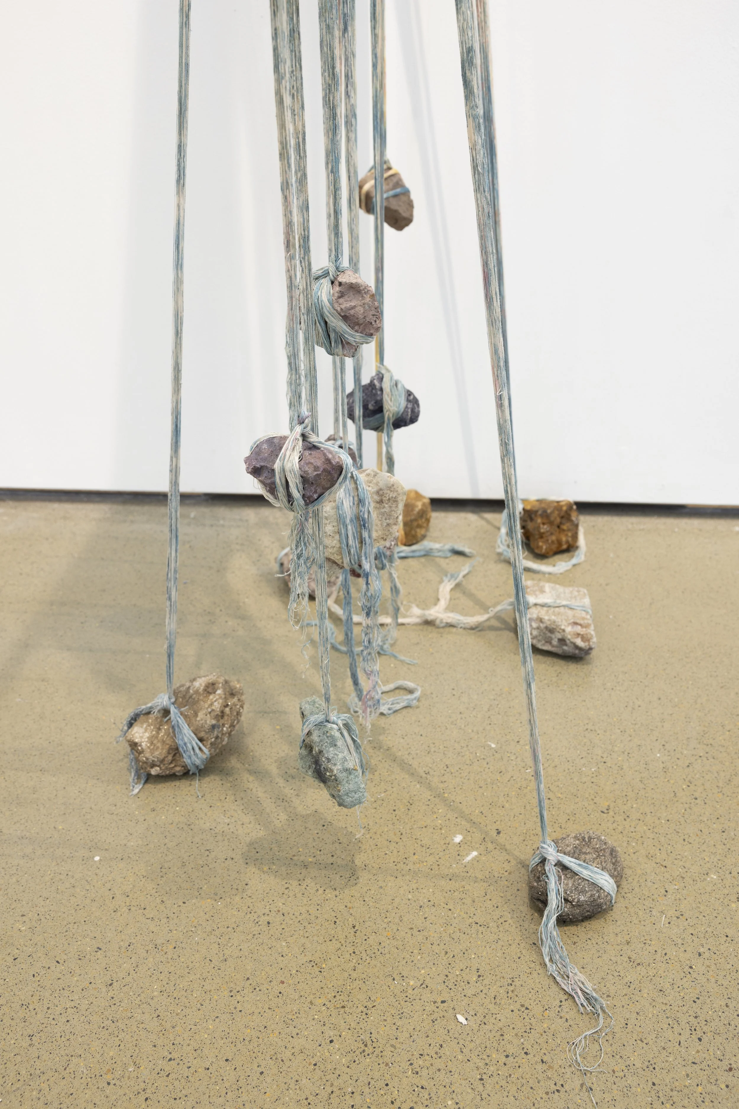   warp/weight  (detail) 