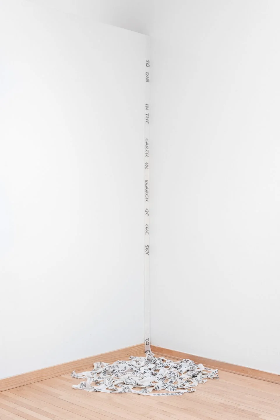 notion (to dig in the earth in search of the sky) screen print, handwoven nylon and cotton dimensions variable 2024 photo credit: Neighboring States
