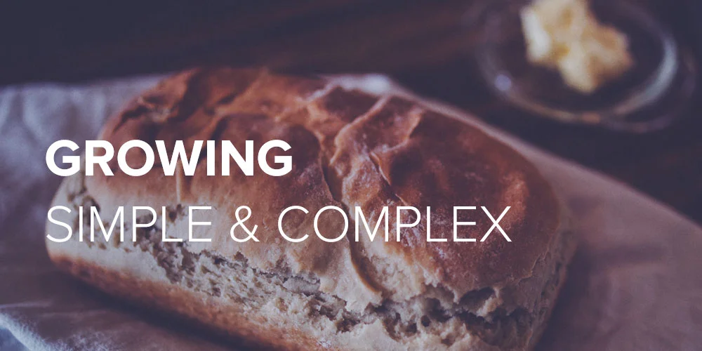 Growing Simple And Complex