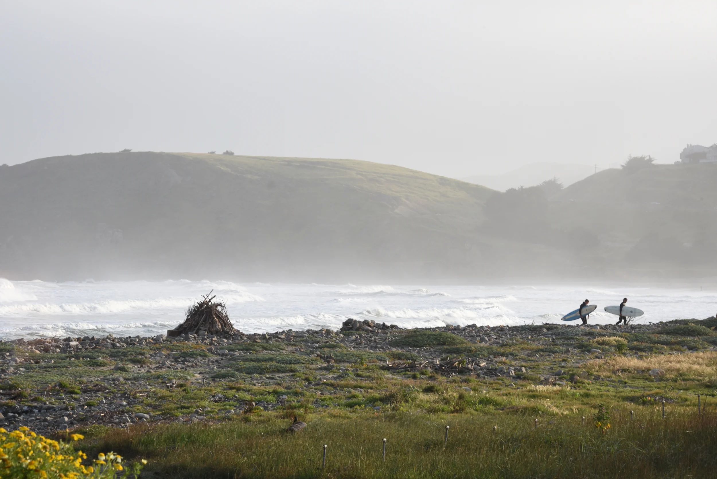 DSC_1724.JPG